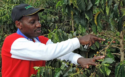 Jamleck Muturi John