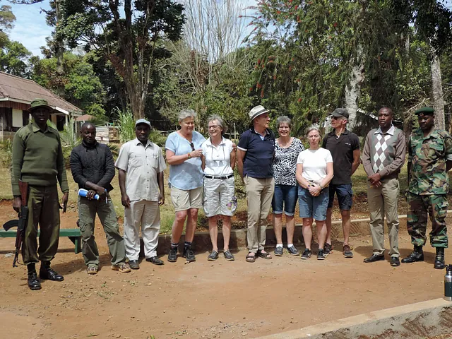 Mt Kenya national forest