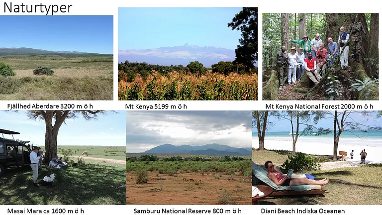 naturtyper i kenya